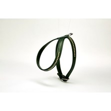 Colezium Swarovski Taşlı Deri Köpek Göğüs Tasması 1,2 x 25 x 35 cm Yeşil