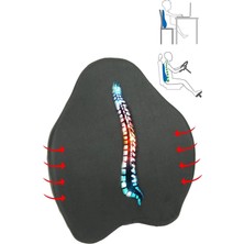 Sogex Visco Yeni Nesil Anatomik Bel Ofis Sırt Destek Minderi Bel Yastığı Ortopedik Oto Araç Koltuk Bel Destek Yastığı