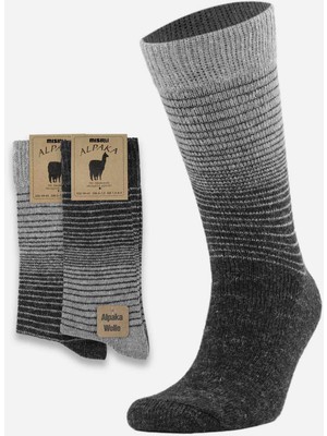 Mısırlı Erkek Alpaka Yünü Kışlık 2 Çift Gri/antrasit Soket Çorap - M 3098 Ga