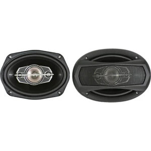 Hoparlör Oval 16X22 cm - 6x9 Inç 800W TRG-6995