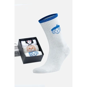 Kadın Pamuklu 3 Çift Özel Kutulu Çok Renkli Soket Çorap - 41085-1