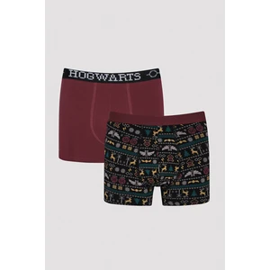 2li Boxer - Harry Potter Koleksiyonu