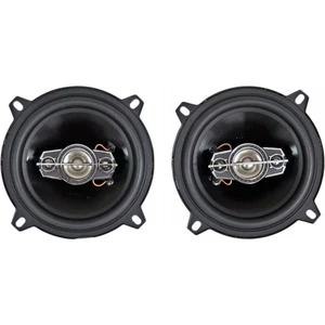 Hoparlör 13 cm - 5,25 Inç 400W TRG-1055