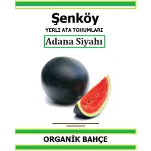 Yerli Siyah Karpuz Tohumu Doğal Ata Tohum Pakette 20 Tohum + Hediye Sebze Tohumu