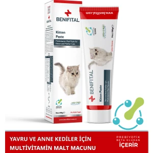 Kitten Paste 100 gr Yavru Ve Anne Kediler Için Folik Asit Destekli Multivitamin Malt Macun