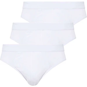 U.S. Polo Assn. Erkek Beyaz 3'lü Slip Külot