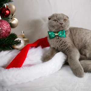 Yıldız Desenli Yeşil Yılbaşı Tema Kedi Tasması