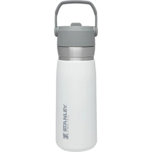 The Iceflow Flip Straw 0.65L / 22OZ Water Bottle Matara