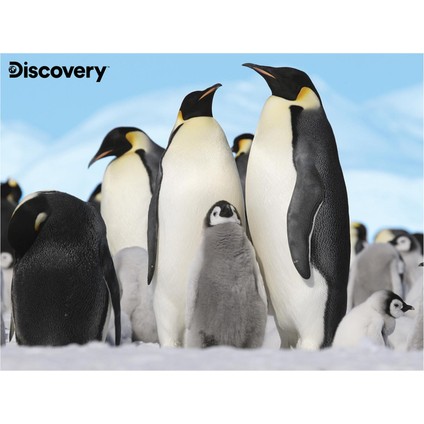 - Penguen Pelüş ve Selfie 48 Parça Puzzle 15809 modelleri