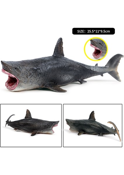 Oenux Savage Deniz Deniz Yaşamı Megalodon Aksiyon Figürü Klasik Okyanus Hayvanları Büyük Köpekbalığı Balık Modeli Pvc Koleksiyonu Çocuklar Için Hediye (Yurt Dışından)