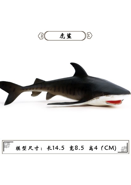 Okyanus Deniz Yaşamı Model Oyuncaklar Simüle Köpekbalığı Aksiyon Figürleri Hayvanlar Heykelcik Eğitici Oyuncaklar Çocuklar Için Hediye Çocuklar Ev Dekor (Yurt Dışından) modelleri