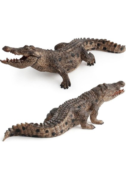 7.2 Inç Timsah Heykelcik Hayvan Aksiyon Figürü Oyuncakları Eğitici Yaratıklar 14736 (Yurt Dışından)