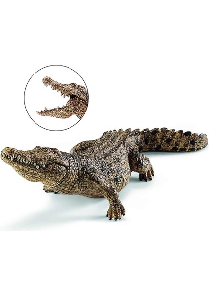 7.2 Inç Timsah Heykelcik Hayvan Aksiyon Figürü Oyuncakları Eğitici Yaratıklar 14736 (Yurt Dışından) modelleri