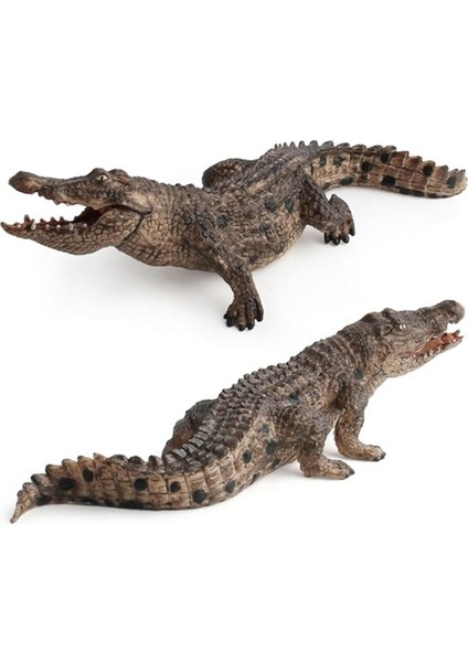 7.2 Inç Timsah Heykelcik Hayvan Aksiyon Figürü Oyuncakları Eğitici Yaratıklar 14736 (Yurt Dışından) fırsatları