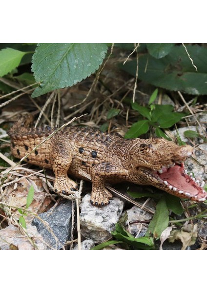 7.2 Inç Timsah Heykelcik Hayvan Aksiyon Figürü Oyuncakları Eğitici Yaratıklar 14736 (Yurt Dışından) indirimleri