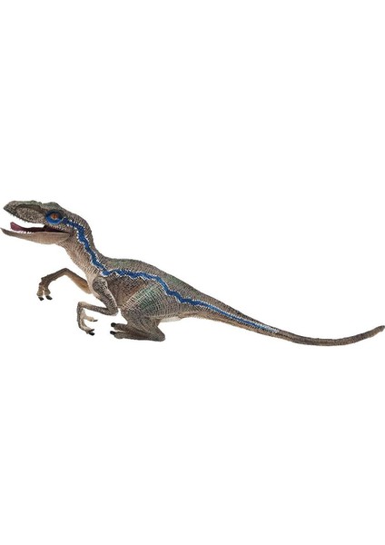 Mavi Velociraptor Dinozor Aksiyon Figürü Hayvan Modeli Oyuncak Koleksiyoncu (Yurt Dışından)