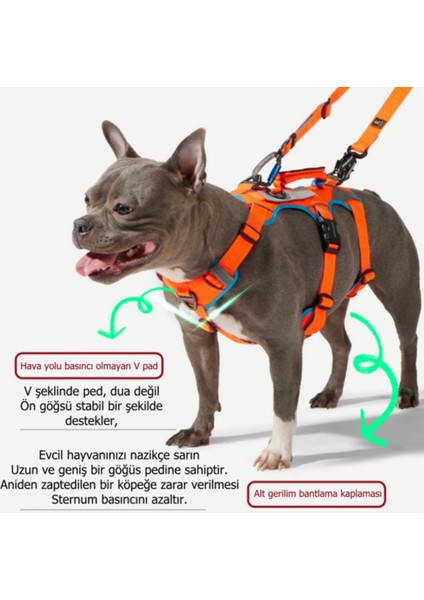 Earthtech Slim 3.0 Vesica Kesesi Çıkığı Önleyici Köpek Göğüs Tasması