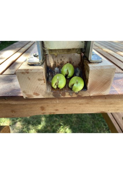 C2 Zeytin Kırma Aleti