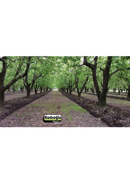 Eko Duyarga Taşıyıcı + 5'li Diskaro KDM100G