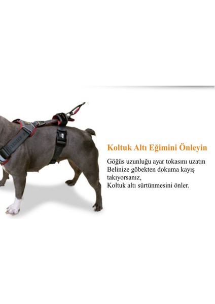 H Koşum Takımı Ped Tipi Göğüs Tasması