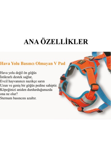 H Koşum Takımı Ped Tipi Göğüs Tasması