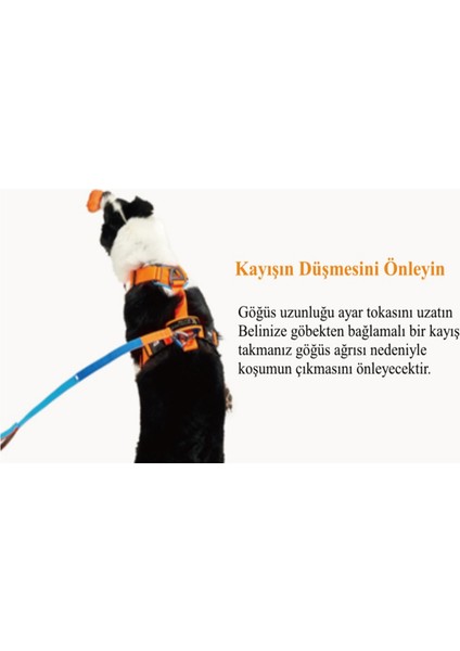 H Koşum Takımı Ped Tipi Göğüs Tasması