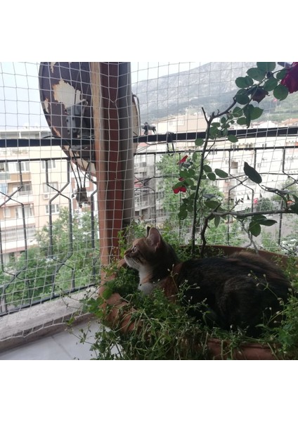 Kedi Filesi - Kedi Ağı - 4 cm Gözenek 2,5 mm Ip - Balkon Filesi - Kedi Koruma Ağı - 1 Metre, 3 Metre