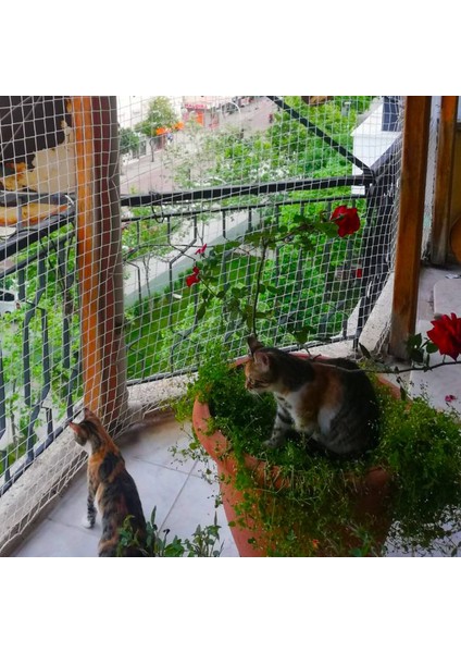 Kedi Filesi - Kedi Ağı - 4 cm Gözenek 2,5 mm Ip - Balkon Filesi - Kedi Koruma Ağı - 1 Metre, 3 Metre