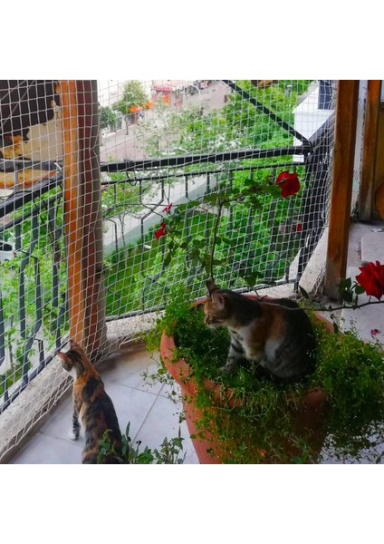 Kedi Filesi - Kedi Ağı - 4 cm Gözenek 2,5 mm Ip - Balkon Filesi - Kedi Koruma Ağı - 1 Metre, 8 Metre