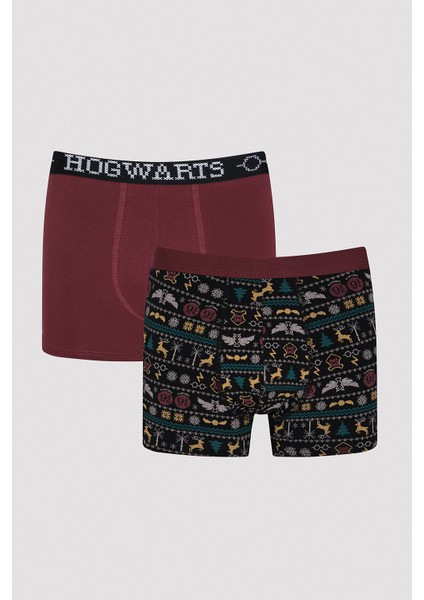 2li Boxer - Harry Potter Koleksiyonu