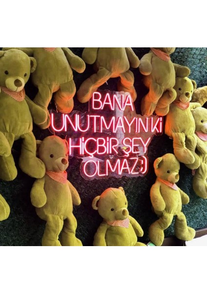 Sanec Bana Unutmayın Ki Hiçbir Şey Olmaz Yazılı Neon LED Tabela