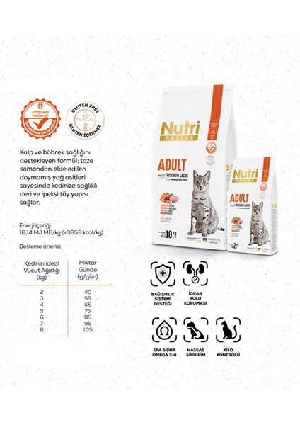 Nutri Feline Adult Somon Etli 2kg Yetişkin Kedi Maması