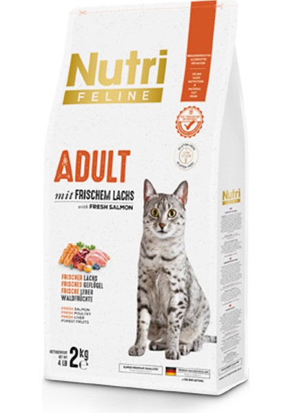 Nutri Feline Adult Somon Etli 2kg Yetişkin Kedi Maması