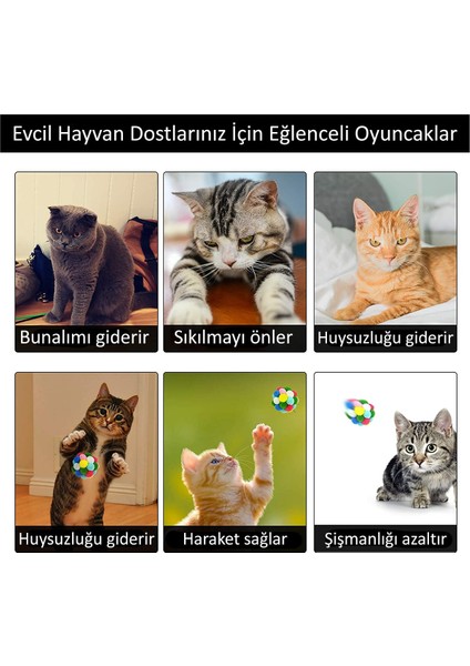 Ponponlu ve Çıngıraklı Kedi Oyun Topu Kedi Egzersiz Oyuncağı Evcil Hayvan Hareket Oyuncak 1 Adet modelleri