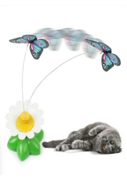 Pilli Kedi Oyuncağı, Hareket Eden Kelebek Kedi Oyuncağı, Kedi Aktivite Oyuncağı, Kedi Oyuncağı indirimleri