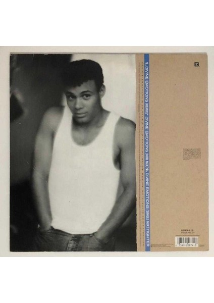 Narada Divine Emotions Lp Plak (Orjinal 1988 Alman Baskı) fiyatları