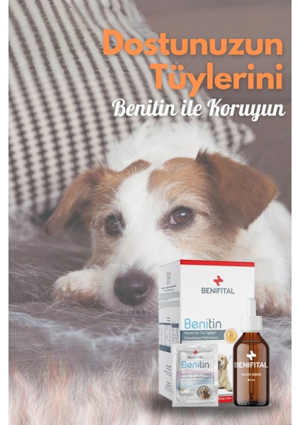 Köpek Deri Ve Tüy Sağlığı Seti Tüy Dökümü Önleyici Benitin + Fish Oil (Biotin ve Omega 3-6)