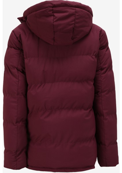 Bordo Erkek Mont Stk-212 fiyatları