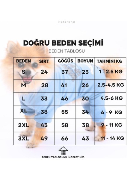 Ayıcık Desenli Kedi Köpek Tulumu Kedi Köpek Kıyafeti Penye Tulum