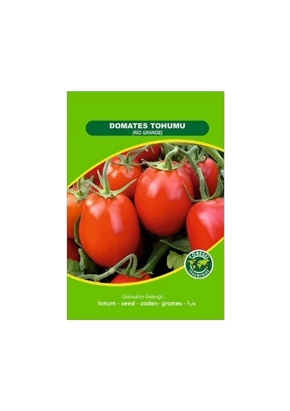 Rio Grande Domates 25 gr Tokat Tipi Sivri Domates