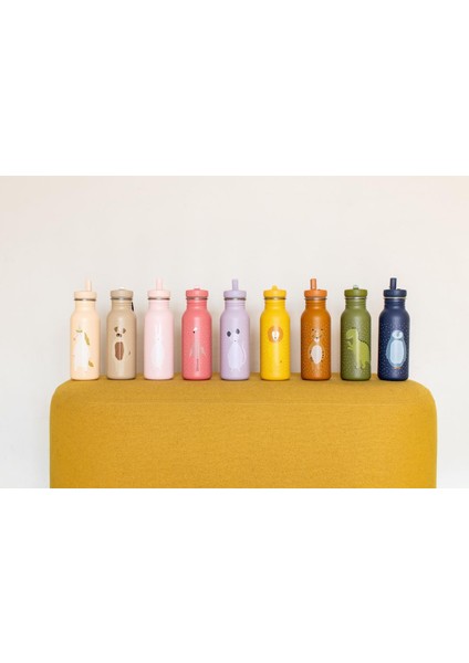 Bottle - 500ML Cat