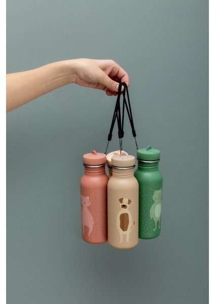 Bottle - 500ML Dog