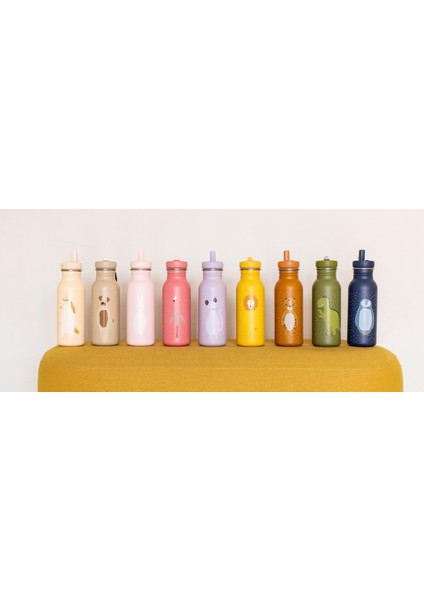 Bottle - 500ML Dog