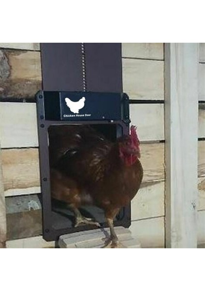 Logo Kahverengi Olmadan Ikinci Nesil Otomatik Tavuk Evi Kapısı (Yurt Dışından) indirimleri