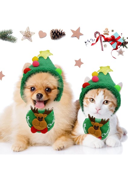 Regular Fit Beli Lastikli İpli Likralı Pileli Pantolon fırsatları