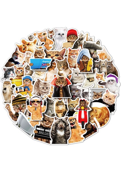 Sevimli Kedi Çıkartmaları, 50'li Set, Suya Dayanıklı ve Uv'ye Dayanıklı, Tüm Aletleriniz Için Harika (Yurt Dışından)