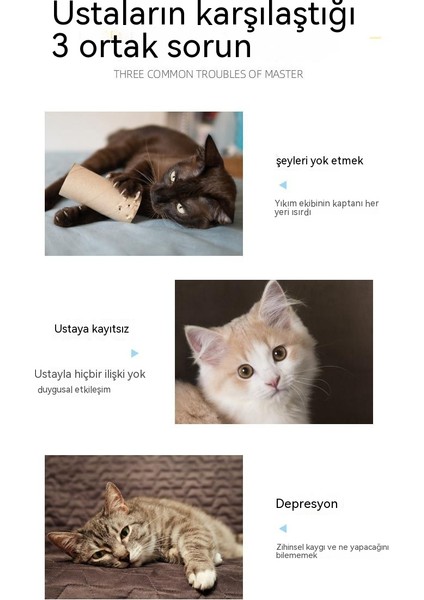 Xingzhi Kedi Renkli Kumaş Komik Kedi Sopa (Yurt Dışından)