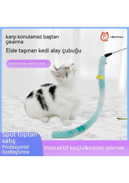 Xingzhi Kedi Renkli Kumaş Komik Kedi Sopa (Yurt Dışından)