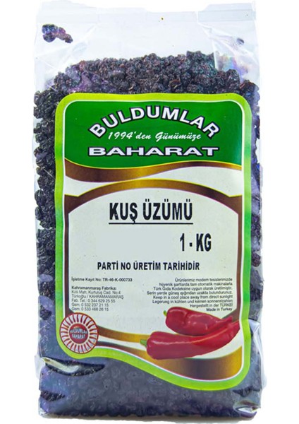 Kuş Üzümü