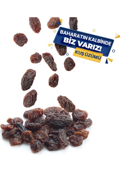 Kuş Üzümü fiyatları